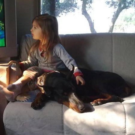 Scarva's Strand Kennel dobermann and little Alexia